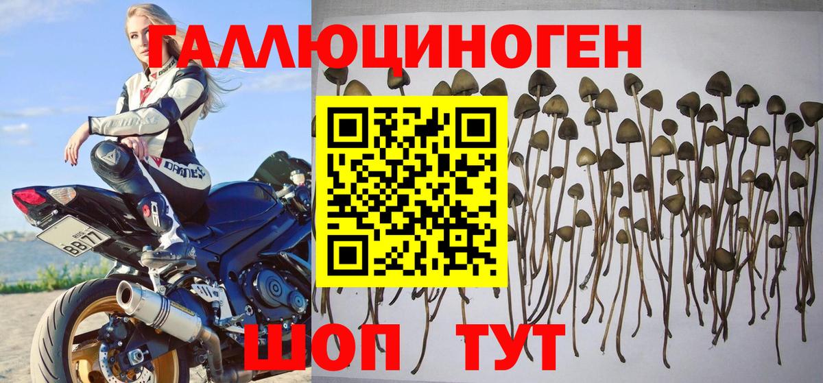 Галлюциногенные грибы мицелий  Будённовск  Галлюциногенные грибы ЛСД 