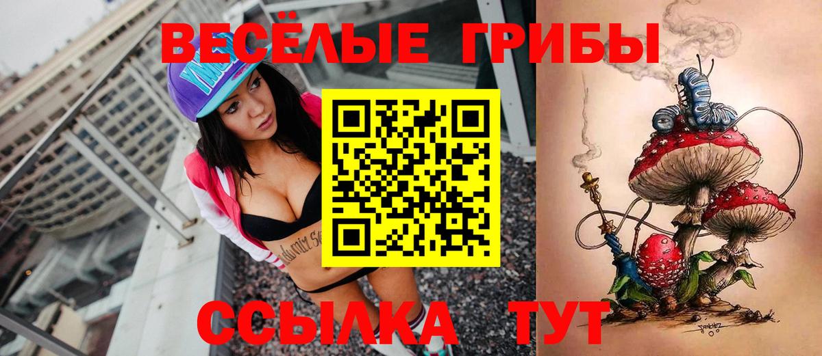 Псилоцибиновые грибы Psilocybine cubensis Будённовск