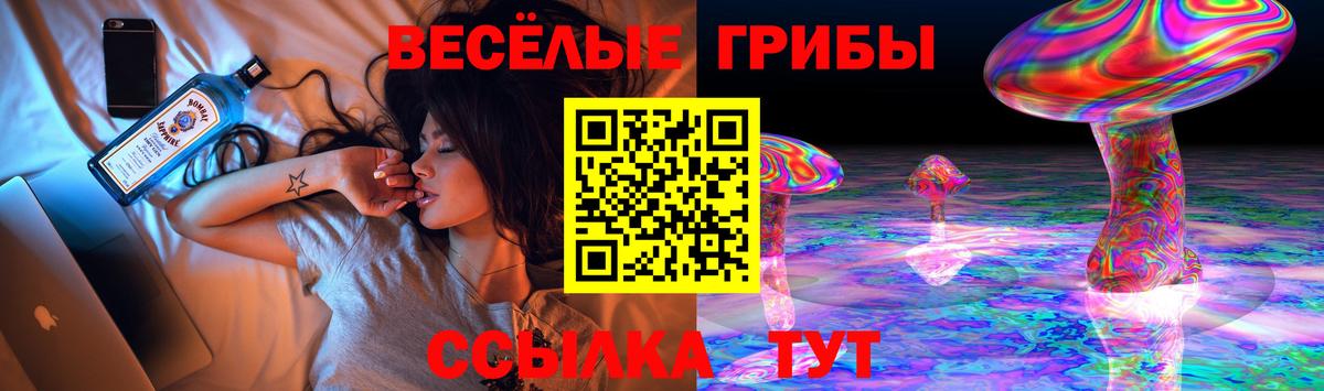 Будённовск  Галлюциногенные грибы прущие грибы  Вход с VPN 
