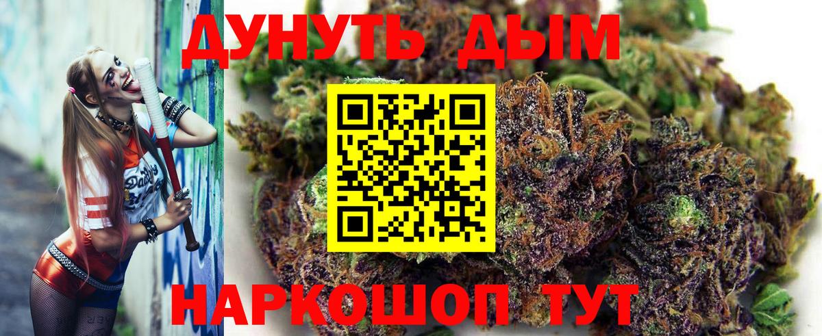 Бошки Шишки план Будённовск